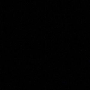 Meet your Posher, Warda